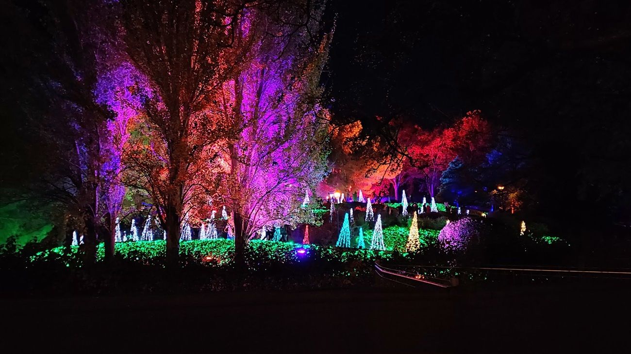 Encendido de luces en un parque urbano