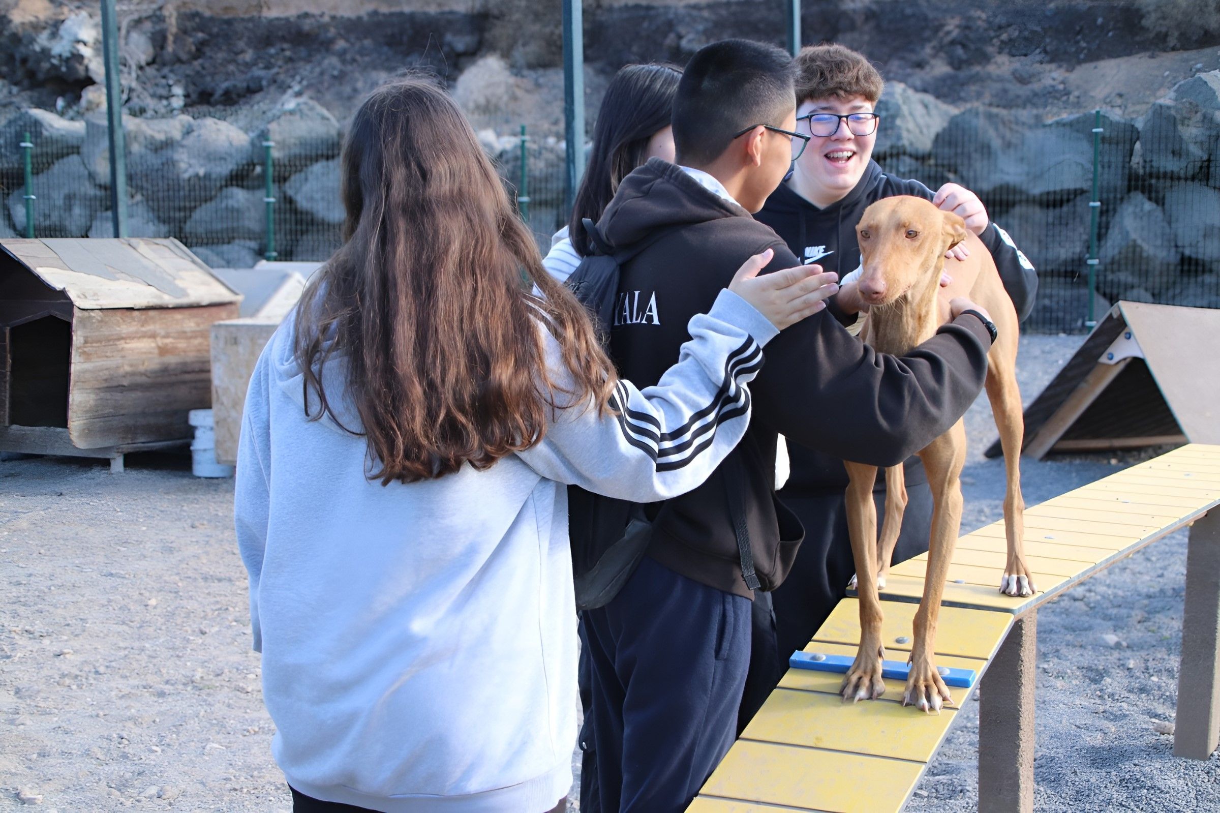 Los alumnos del  'CEO Playa Blanca' en su visita al Centro de Acogida de Animales de Yaiza