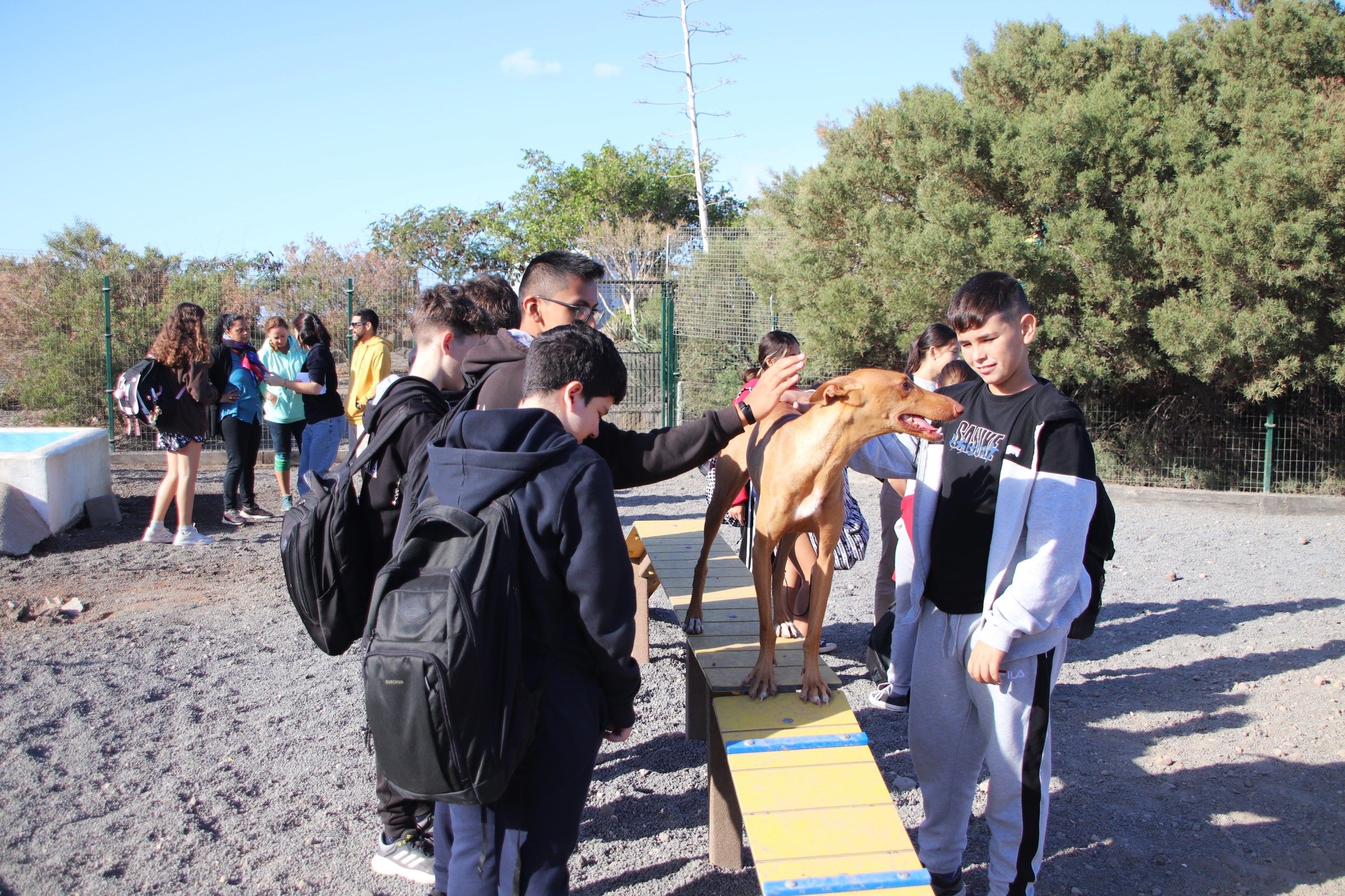 Los alumnos del  'CEO Playa Blanca' en su visita al Centro de Acogida de Animales de Yaiza