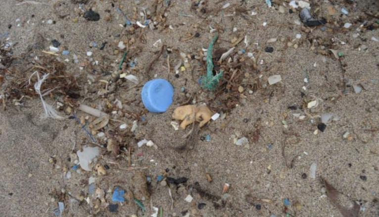 Plásticos y microplásticos en las costas de Lanzarote. Foto: Lanzarote Limpia. 
