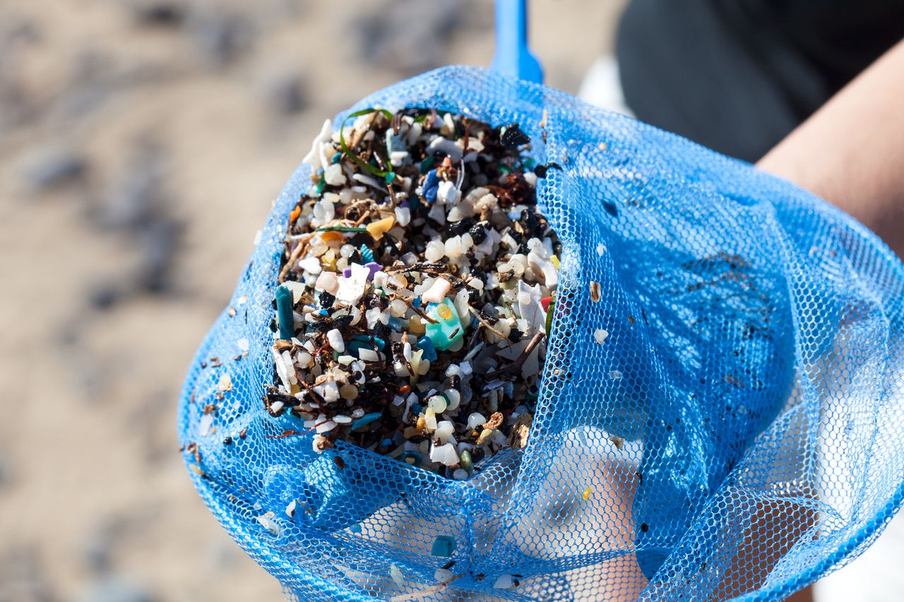 Microplásticos y pellets recogidos en Famara en una imagen de archivo, Lanzarote. Autor: Proyecto Microtrofic.