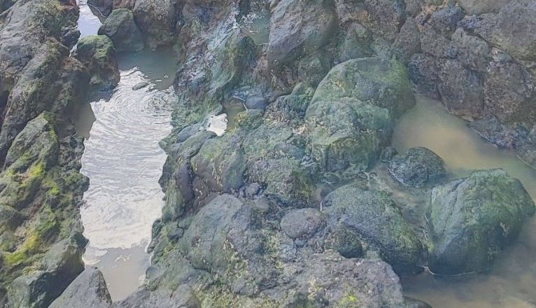 Vertidos en Playa Grande de Punta Mujeres (3) Vertidos en Playa Grande de Punta Mujeres (3)