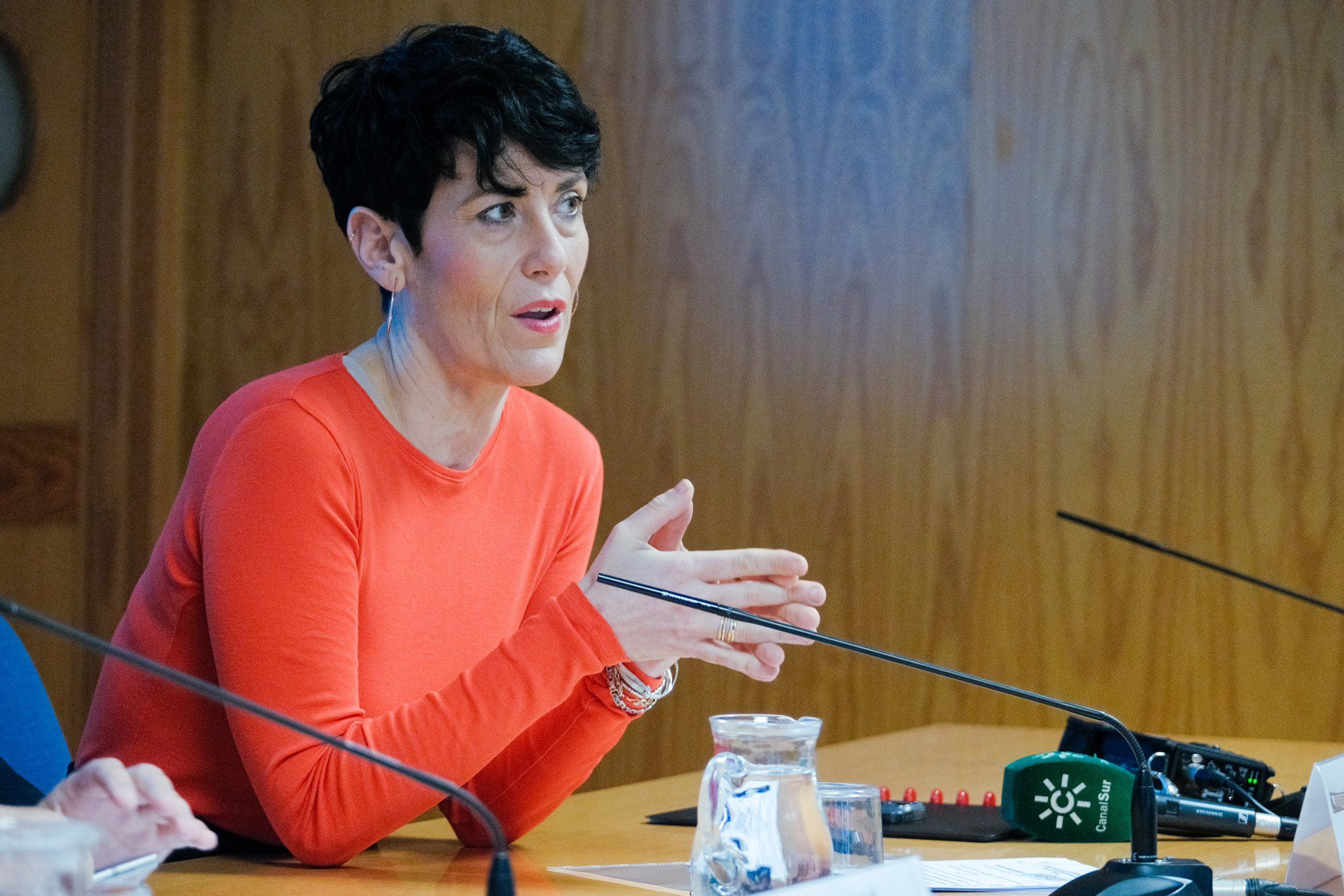 La ministra de Inclusión, Seguridad Social y Migraciones, Elma Saiz, sobre la reforma del estatuto de migrantes. Foto: Gobierno de España.