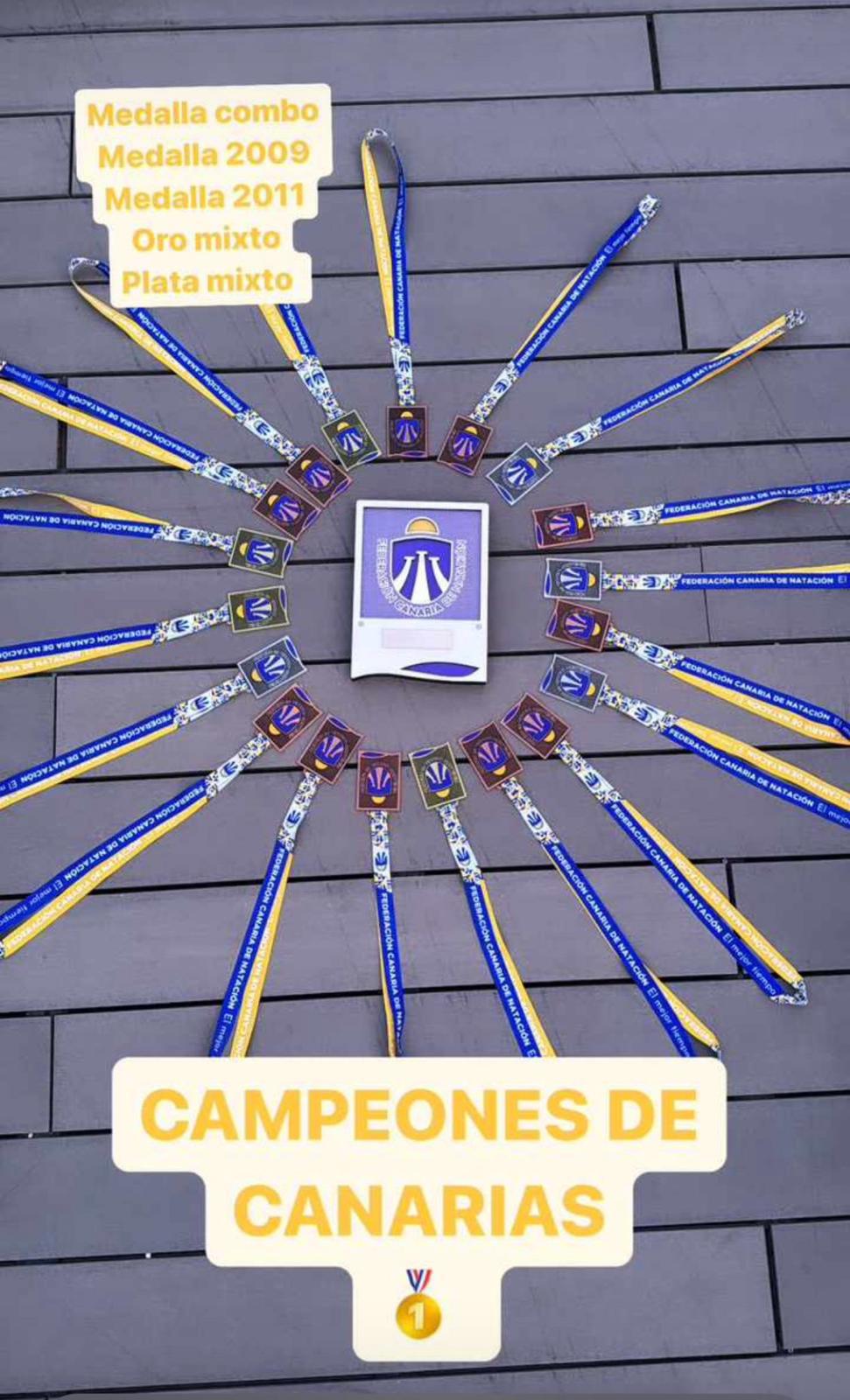 'Los Pingüinos' en el Campeonato Regional de natación artística