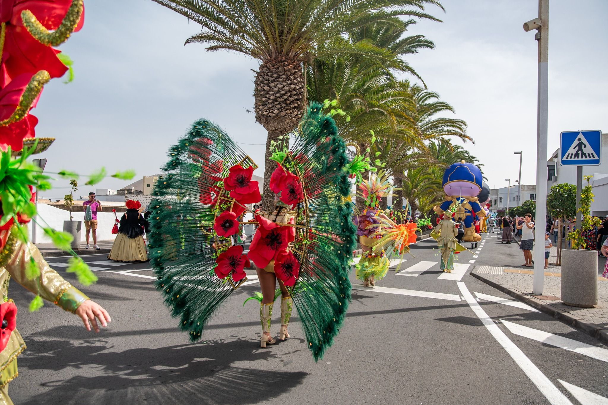 Carnaval San Bartolomé 2024 Carnaval San Bartolomé 2024