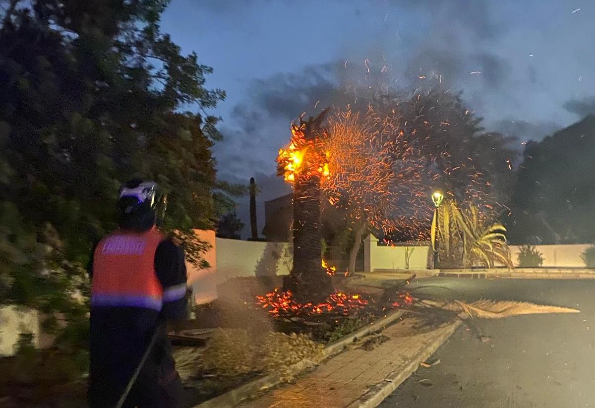 Palmera ardiendo