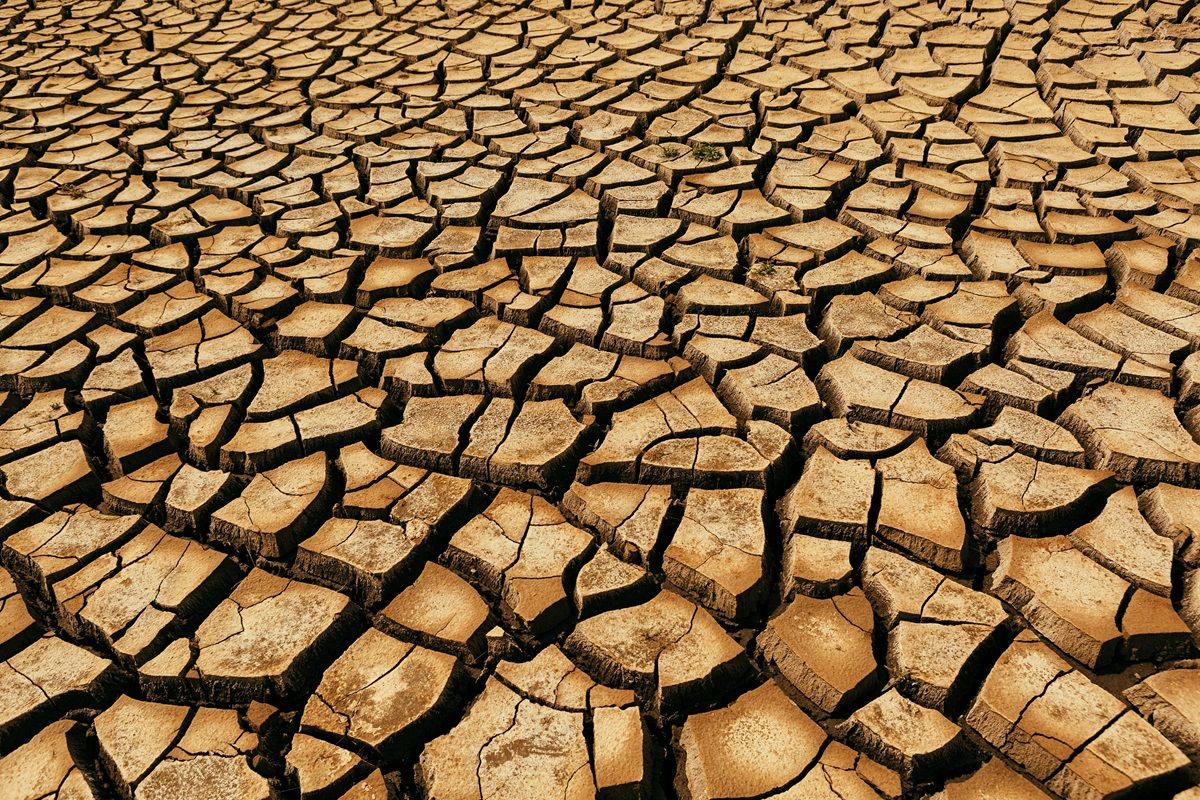 Terreno afectado por sequía. 
