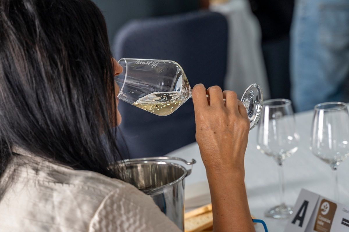 Cata de vinos