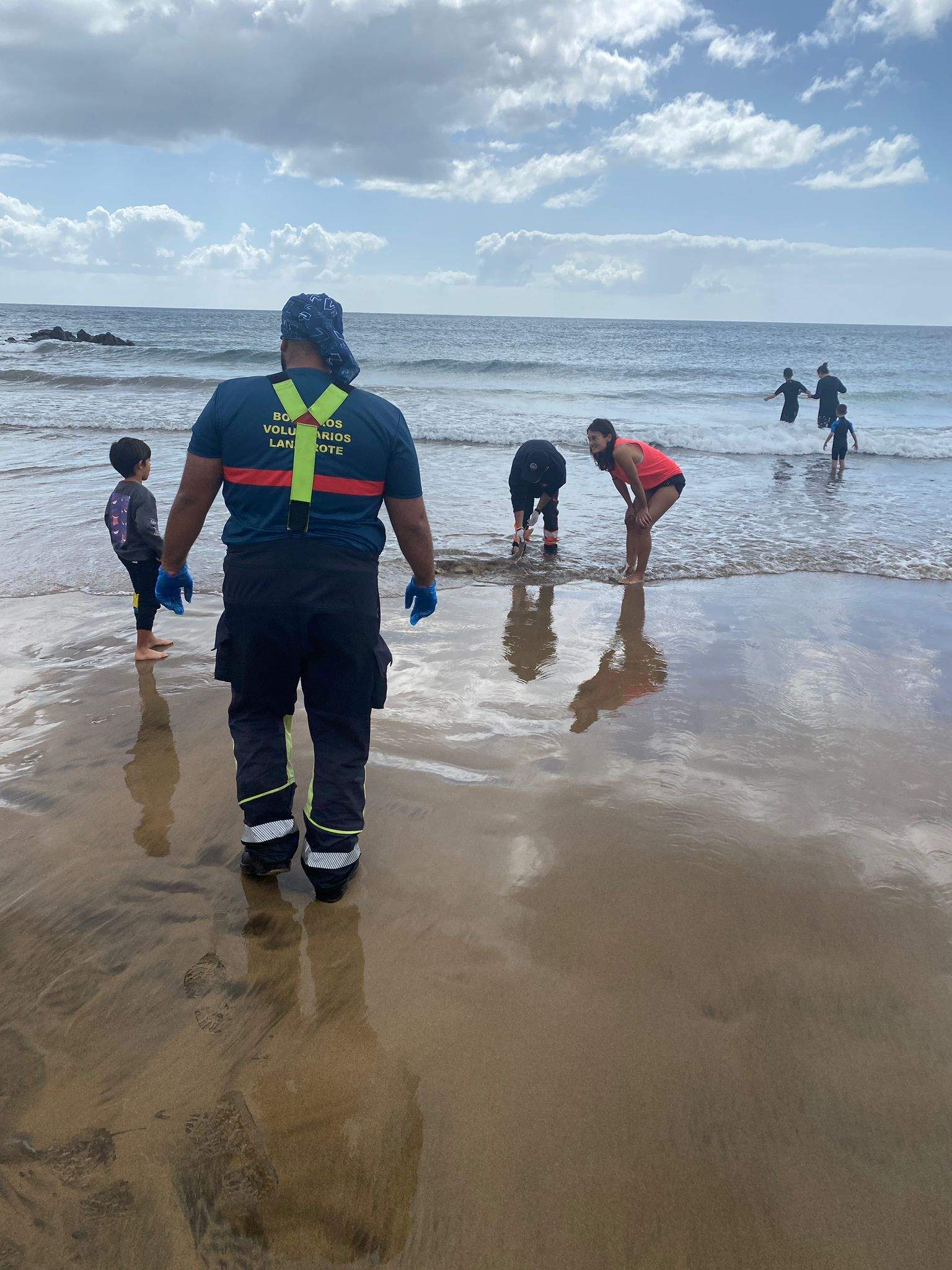 Tías defiende que las autoridades son las que deben hacerse cargo de los animales muertos en la costa