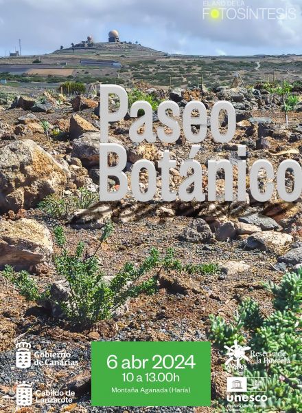 Paseo Botánico por las cumbres de Famara Paseo Botánico por las cumbres de Famara