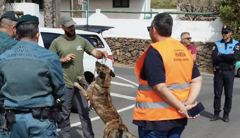 Perros de la unidad canina de detección de veneno del Seprona