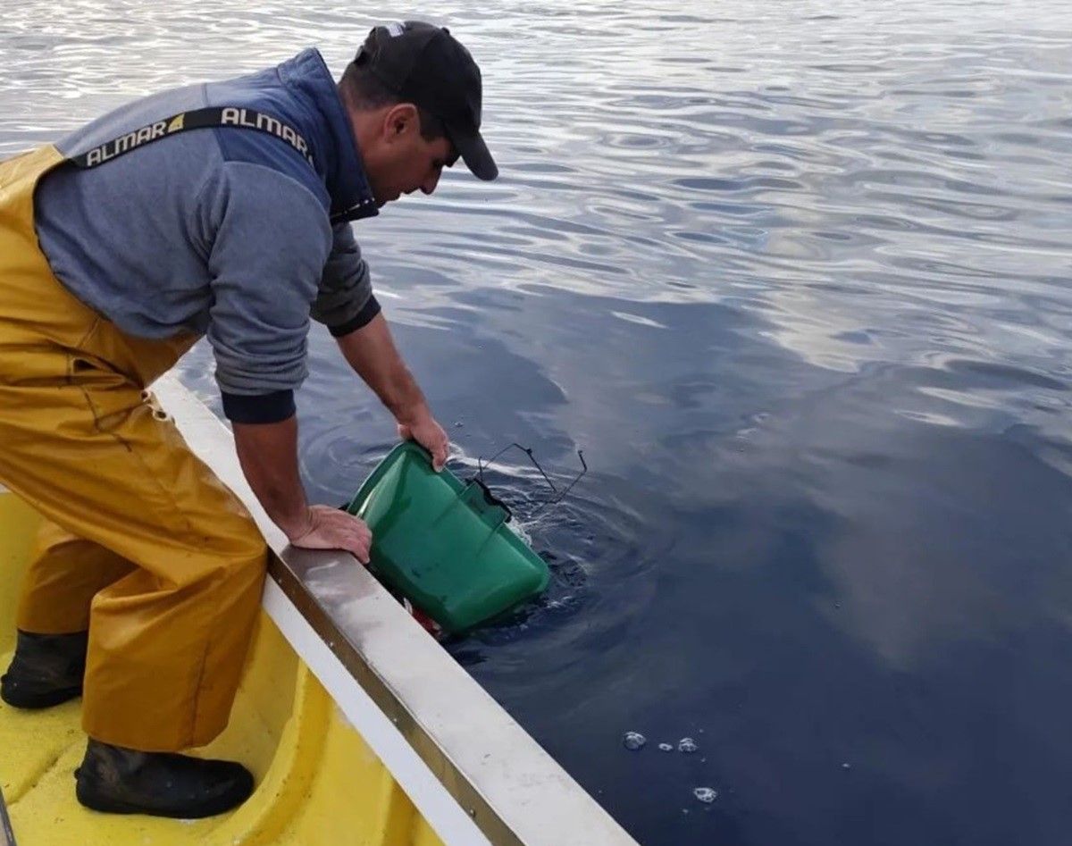 Los pescadores cogiendo la papelera en Arrecife