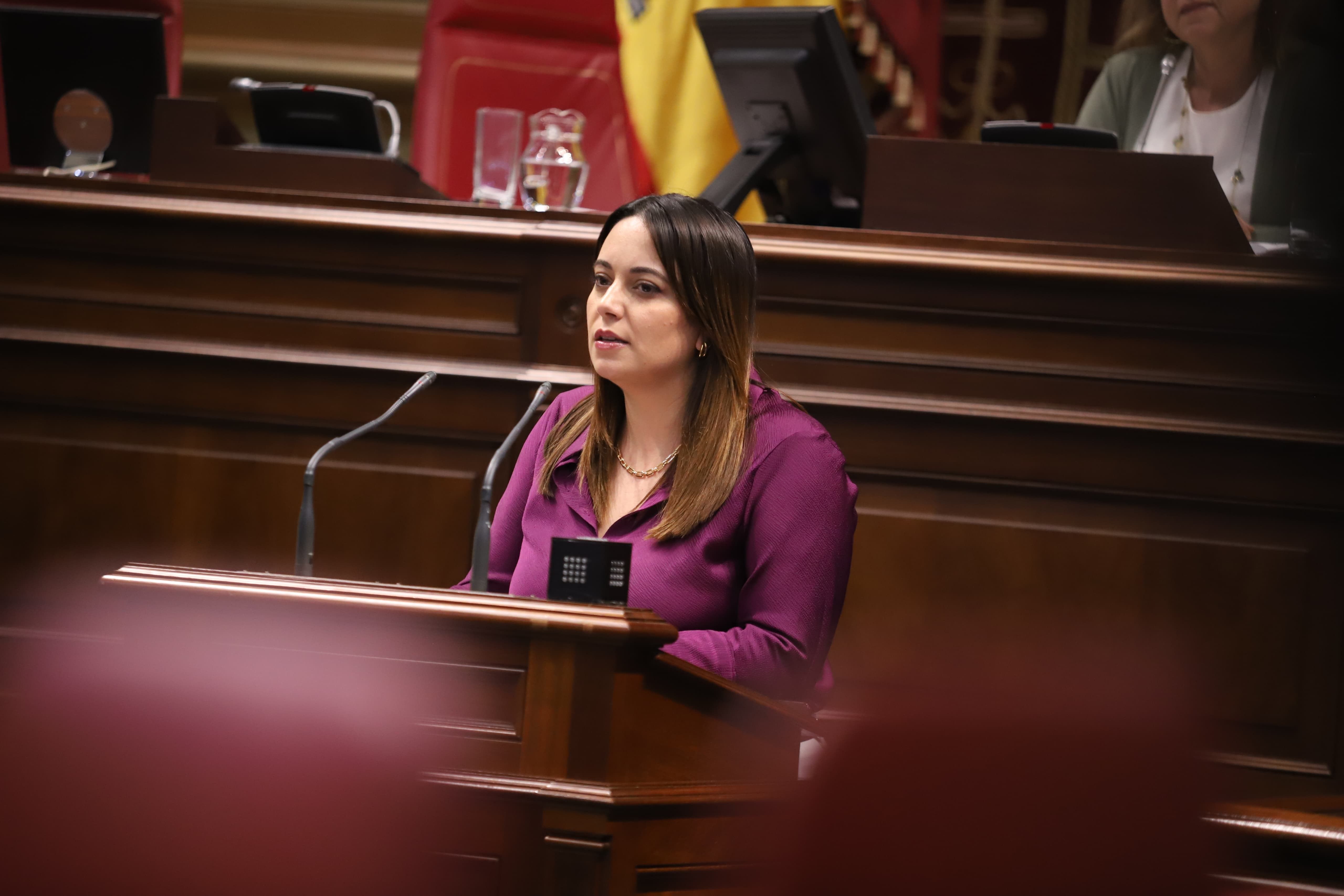 La diputada del Grupo Canario Nacionalista (CCa), Cristina Calero