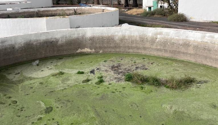 Tank of the station where the man was rescued, by the agents of the Local Police of Arrecife Tank of the station where the man was rescued, by the agents of the Local Police of Arrecife