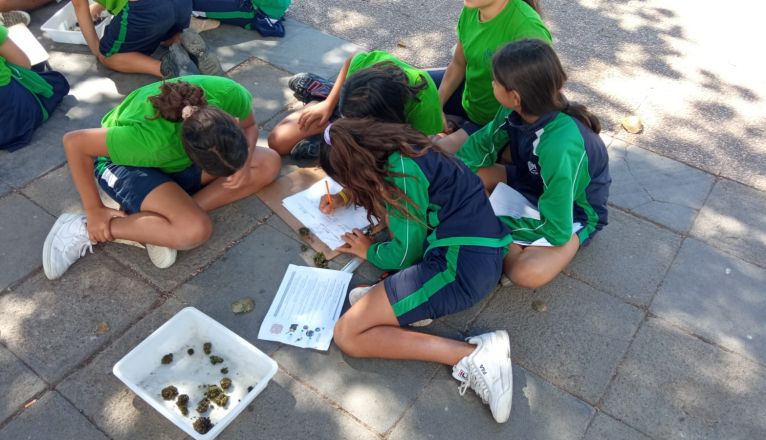 Escolares del CEO de Argana visitan hoy el Charco de San Ginés y aprenden de  los valores on el proyecto de la Concejalía de Medio Ambiente