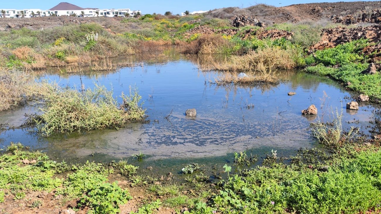 La suciedad en Costa Teguise