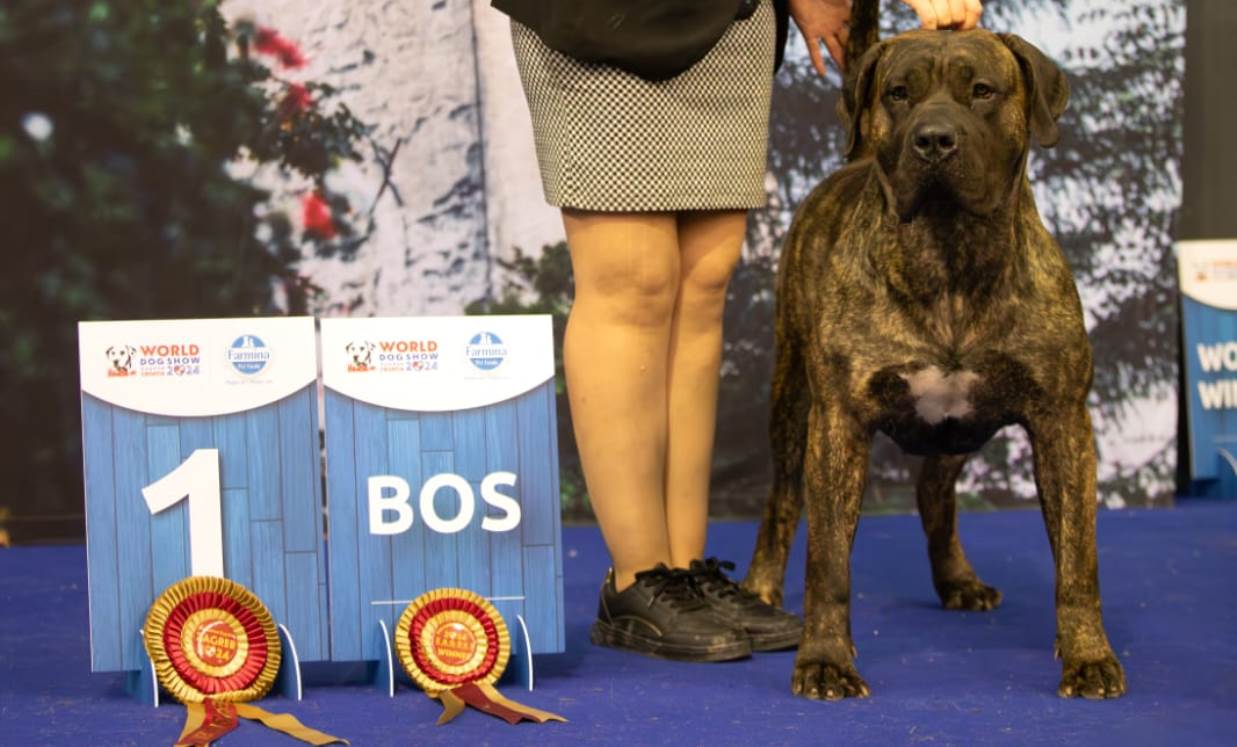 Covadonga, campeona del mundo