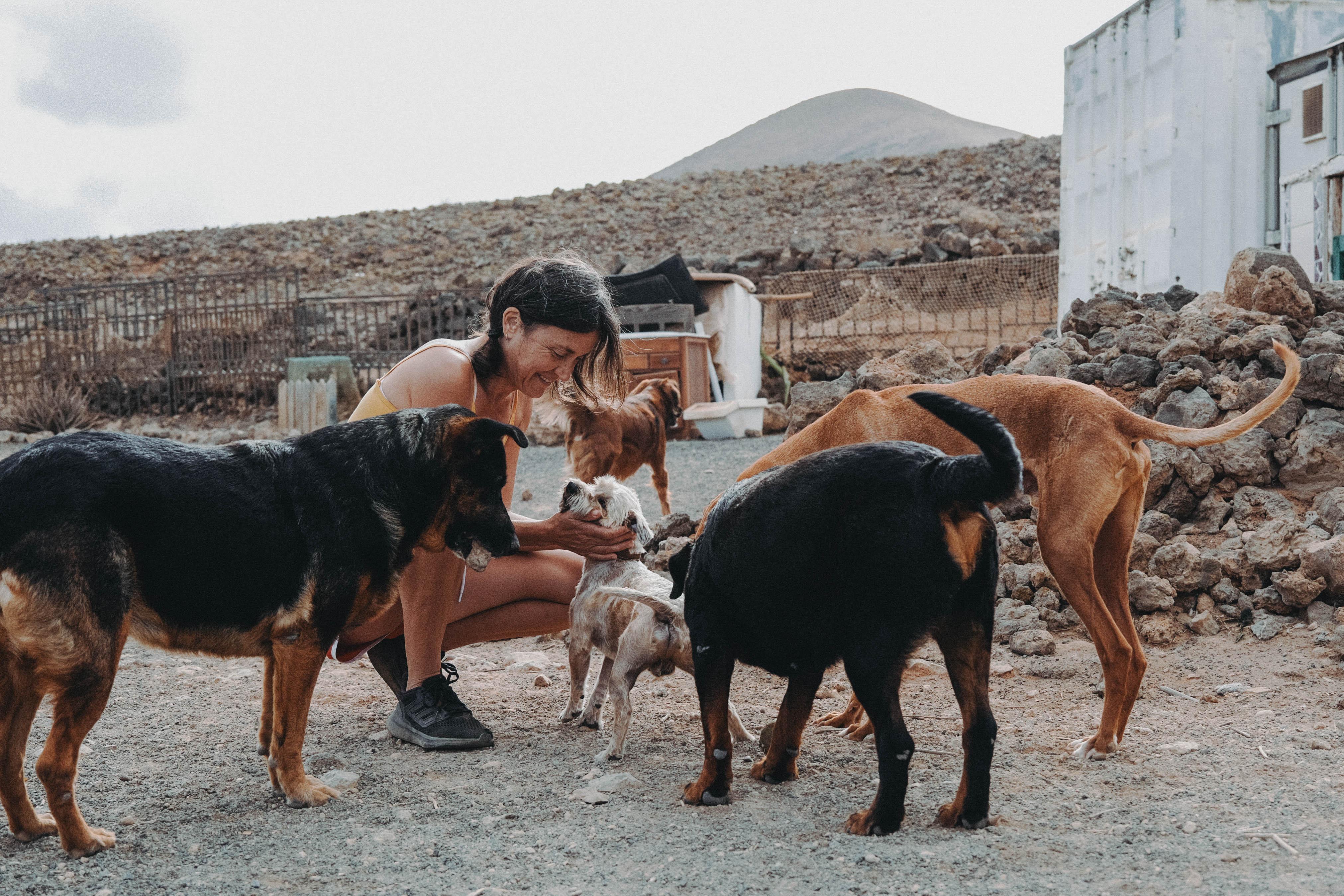 El refugio La Casa de las Estrellas en Teguise