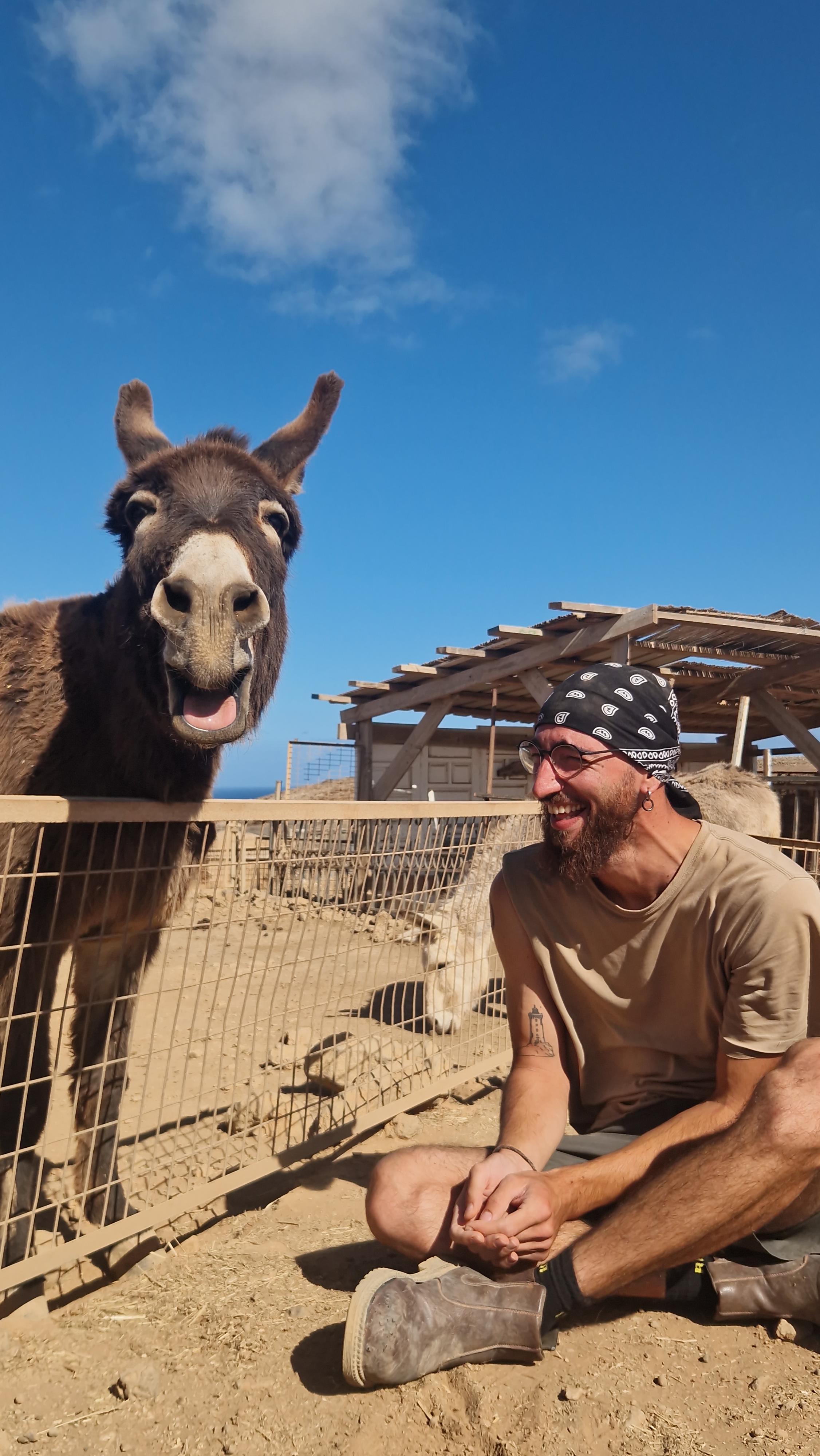El refugio La Casa de las Estrellas en Teguise