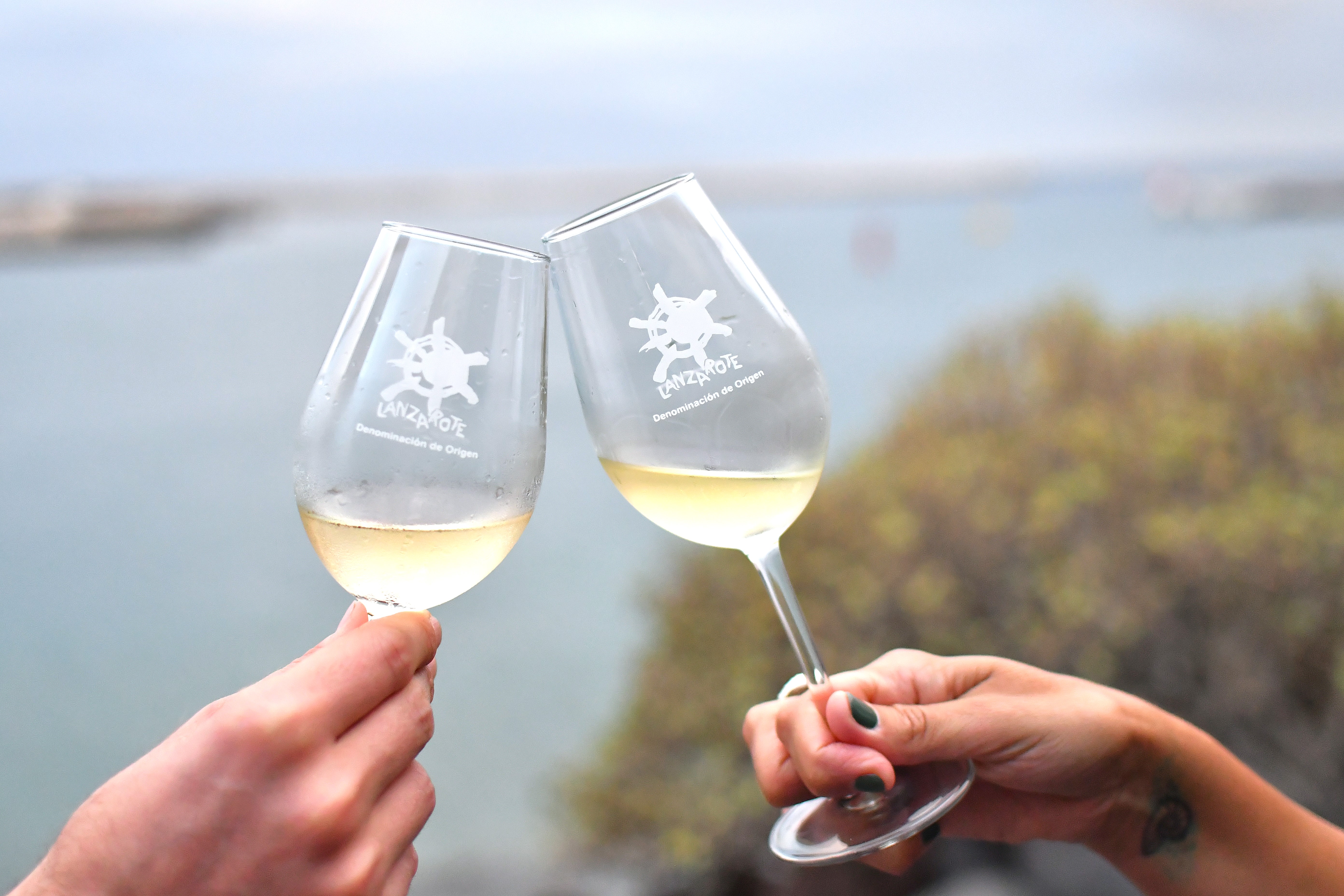 Brindis acto de Calificación Añada 2023.