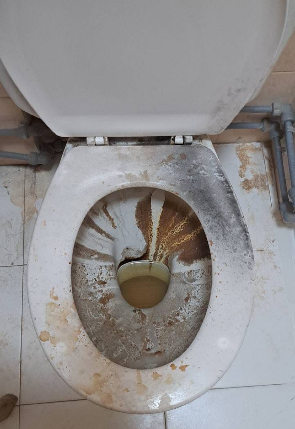 Taza del váter de la Casa del Mar de Arrecife.