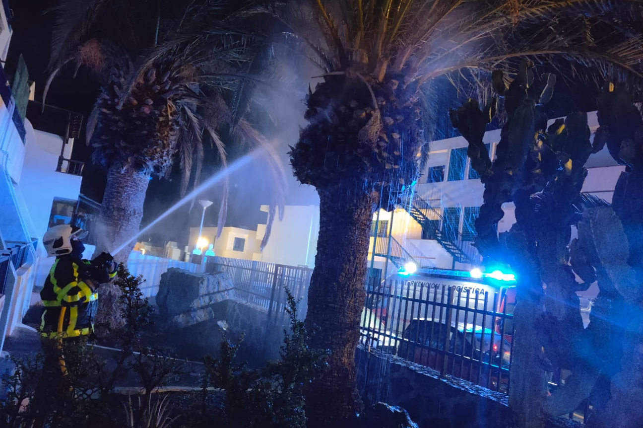 Bomberos Voluntarios apagando un contao de incendio en una palmera