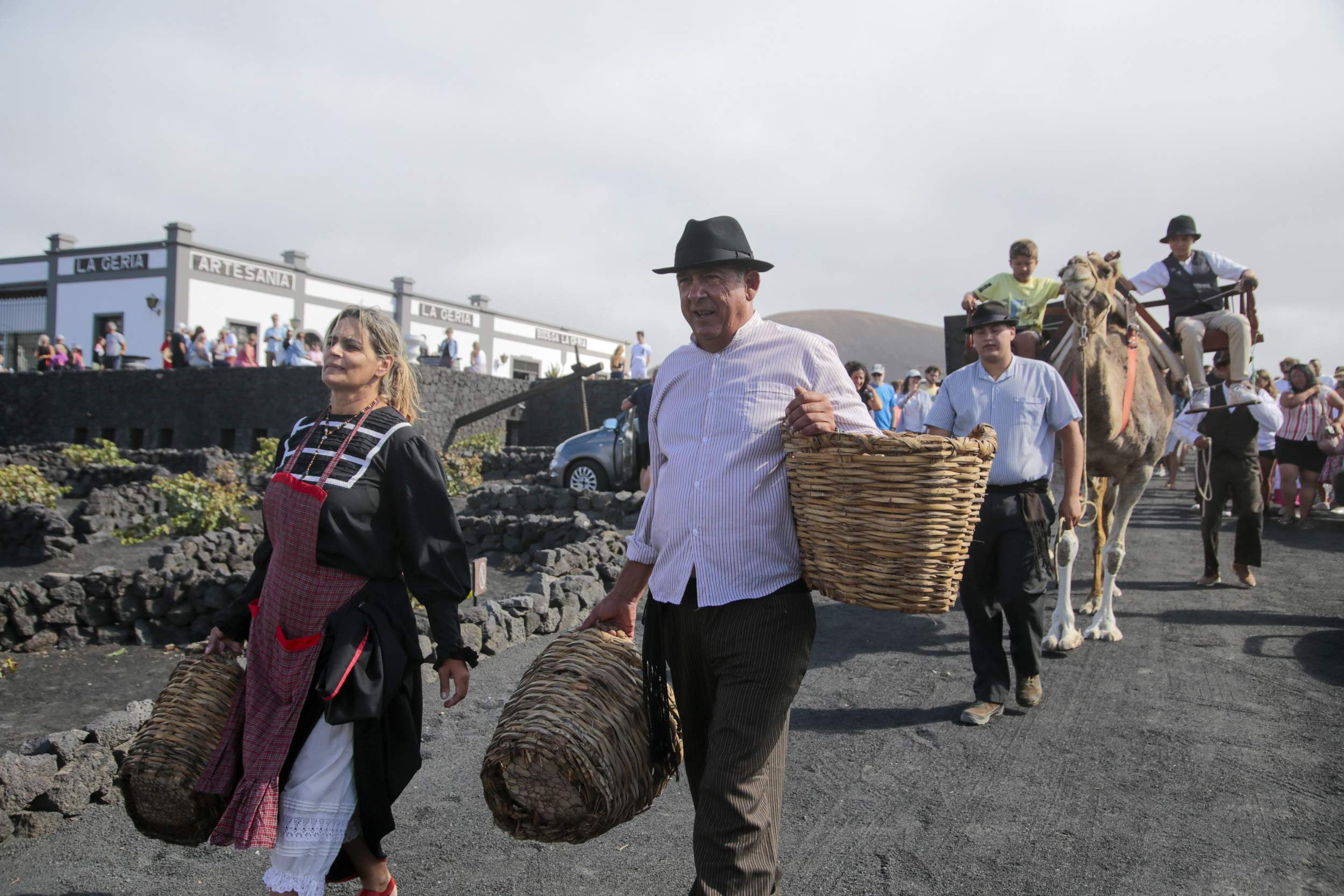  La Geria interpreta su pasado de la vendimia. Fotos: Juan Mateos.