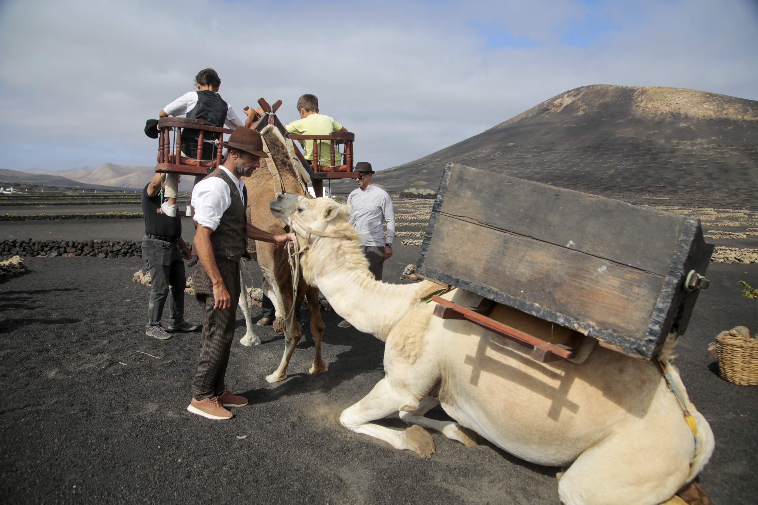  La Geria interpreta su pasado de la vendimia. Fotos: Juan Mateos.