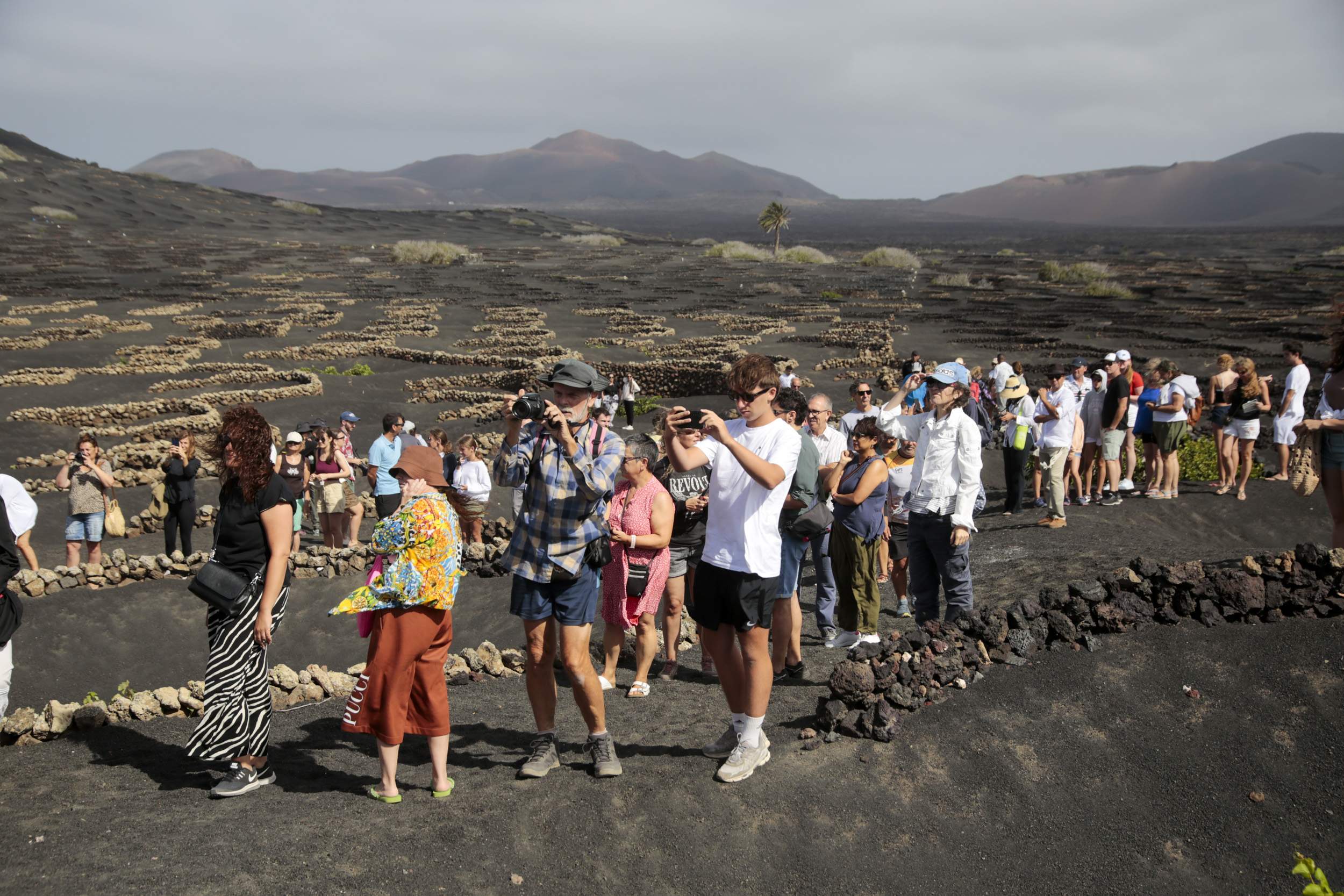  La Geria interpreta su pasado de la vendimia. Fotos: Juan Mateos.