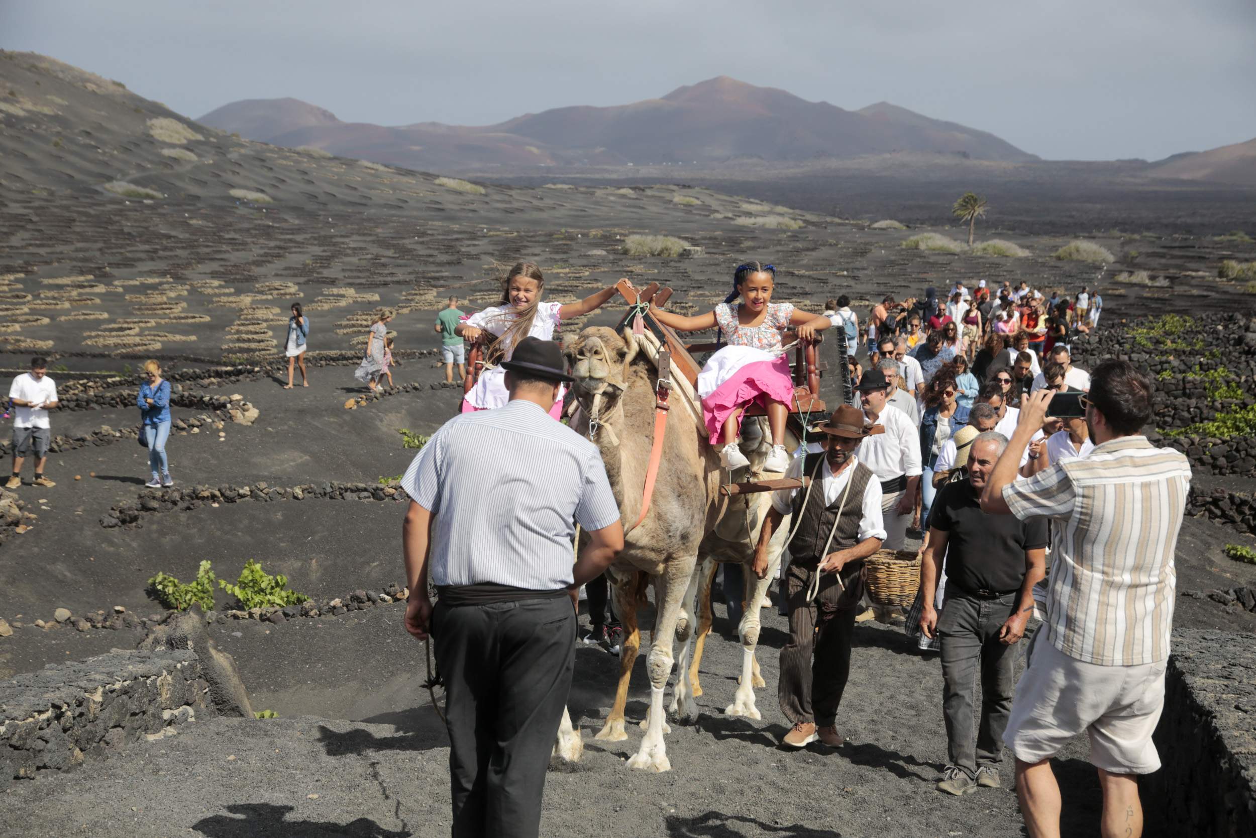  La Geria interpreta su pasado de la vendimia. Fotos: Juan Mateos.