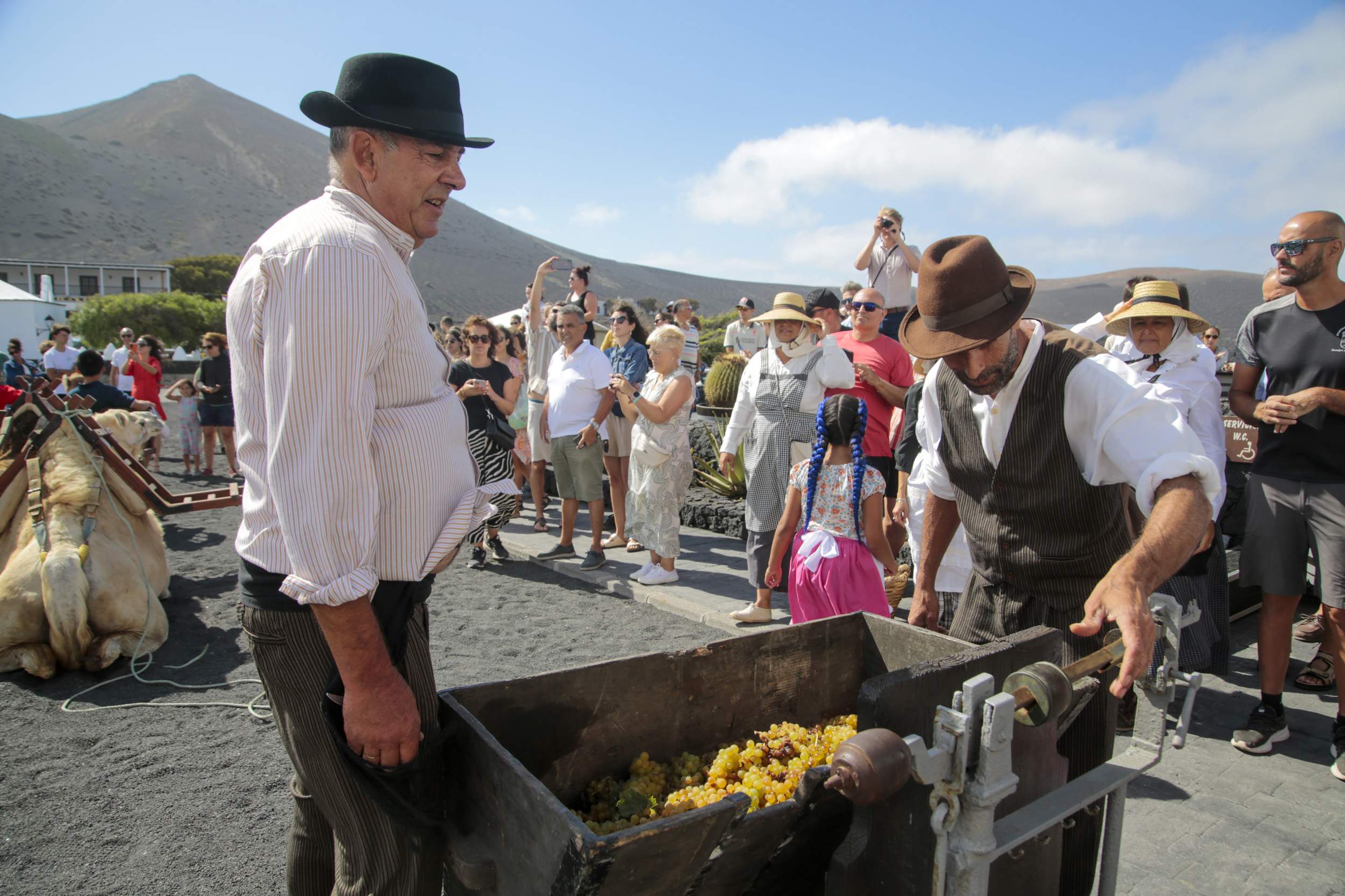  La Geria interpreta su pasado de la vendimia. Fotos: Juan Mateos.