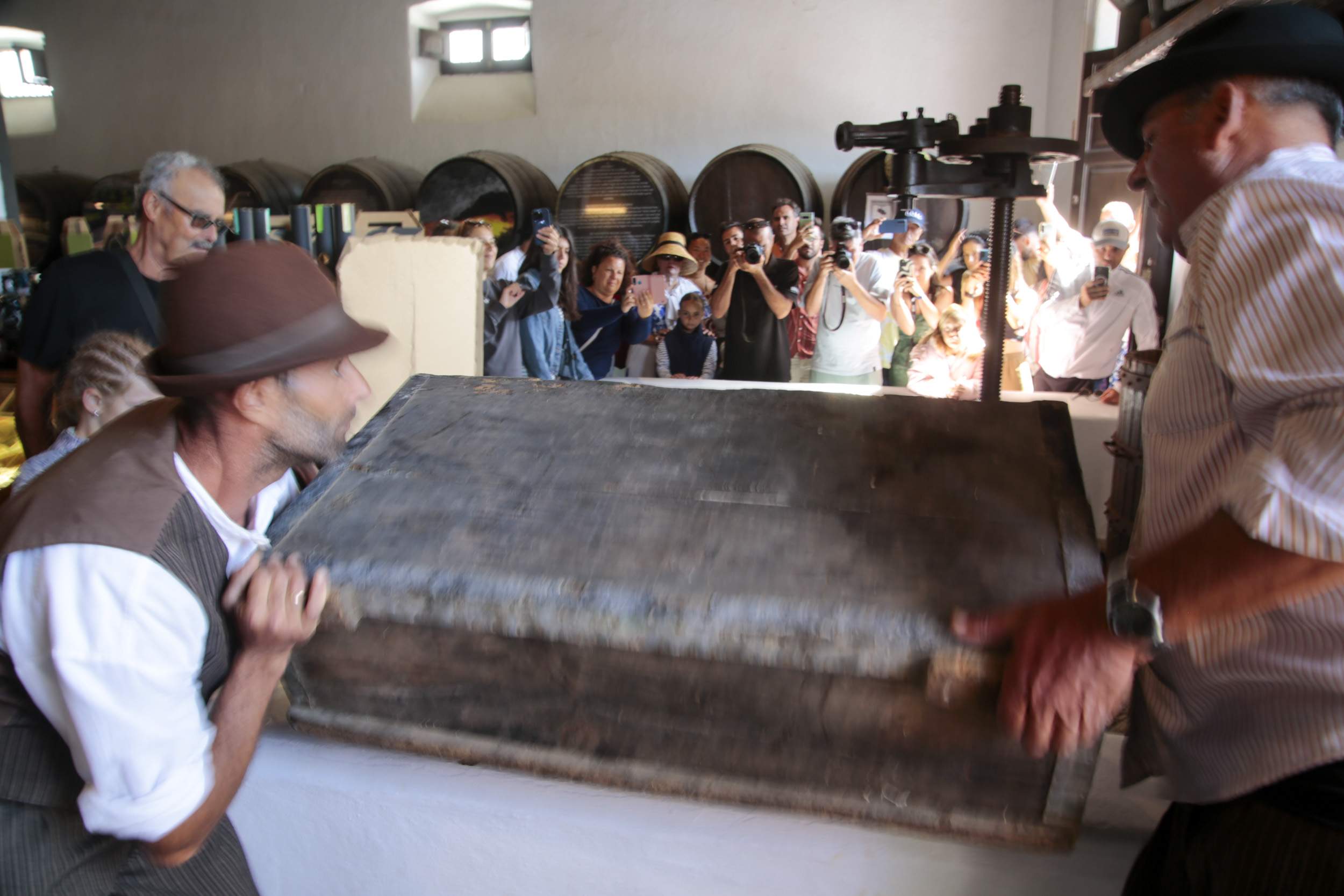  La Geria interpreta su pasado de la vendimia. Fotos: Juan Mateos.