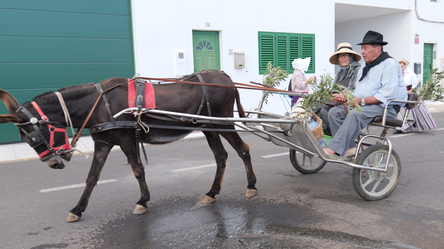 Romería de San Bartolomé, 2024