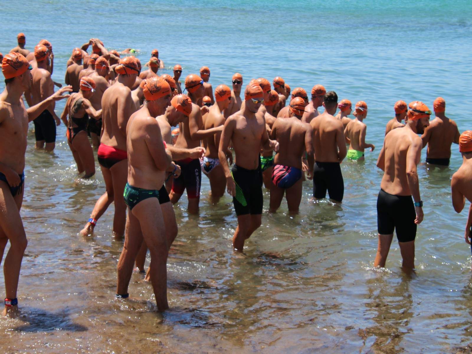 XXIX Travesía San Ginés 2024 XXIX Travesía San Ginés 2024