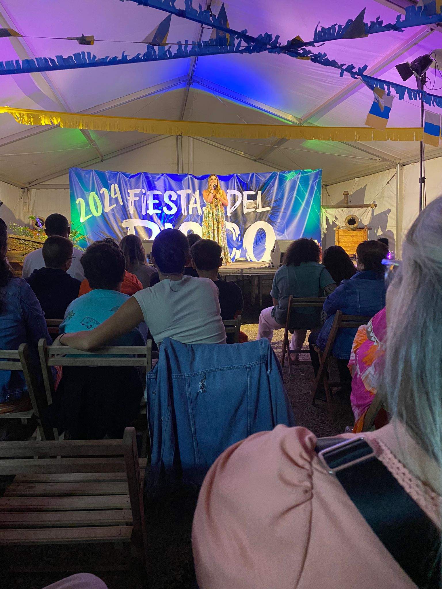 Fin de fiestas de Los Ancones, 2024