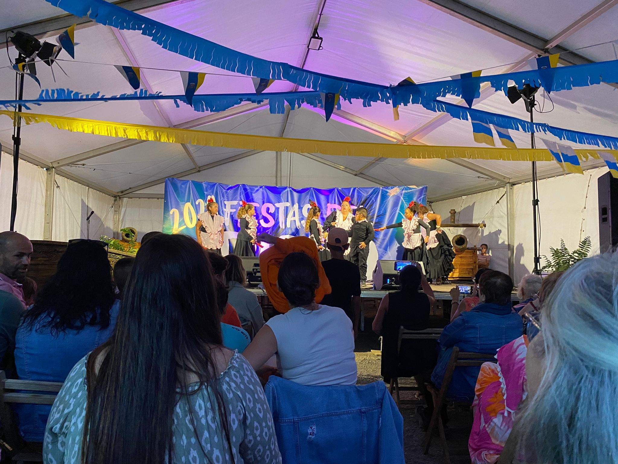 Fin de fiestas de Los Ancones, 2024