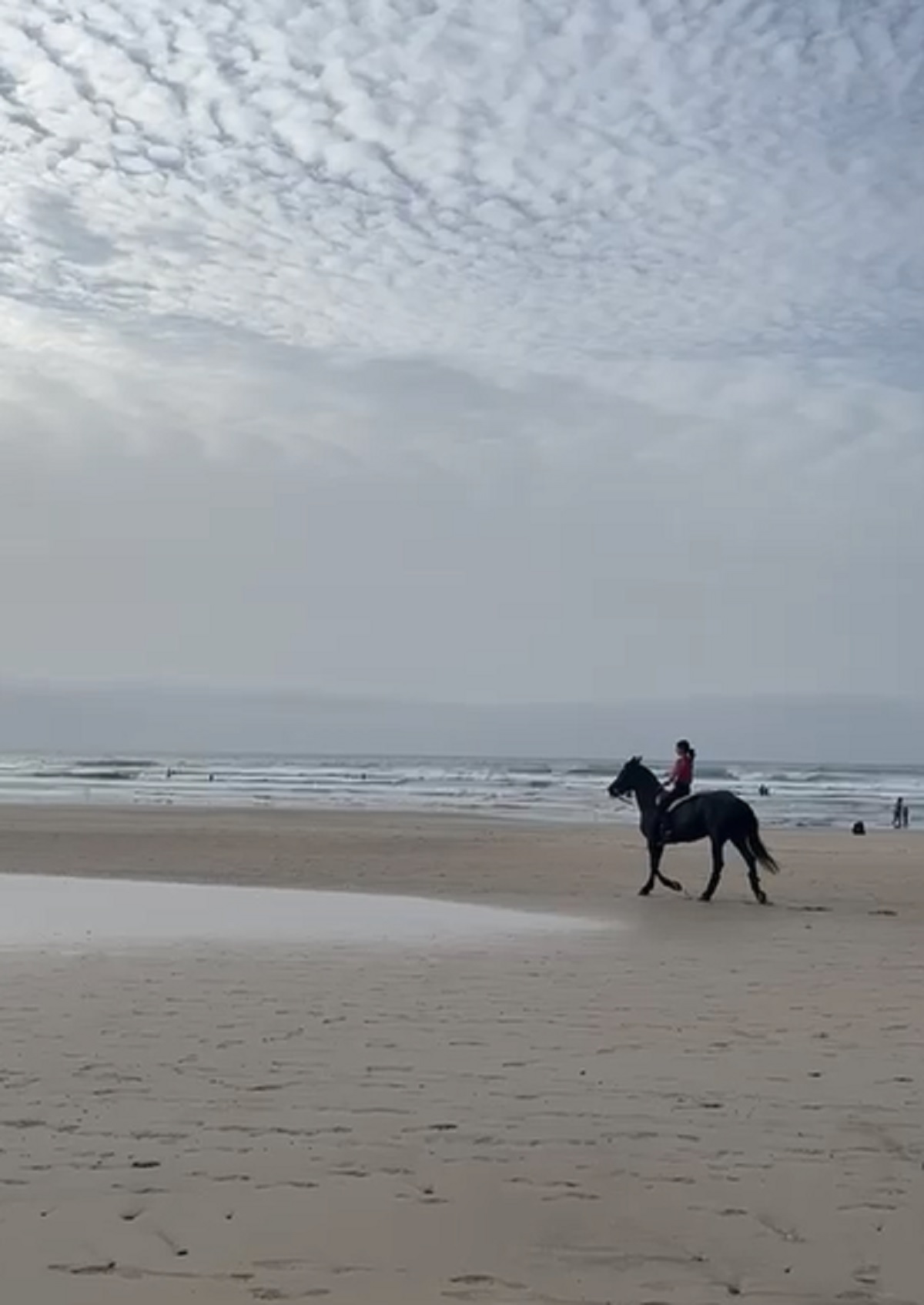 Pasea con un caballo en la playa de Famara, a pesar de que está prohibido