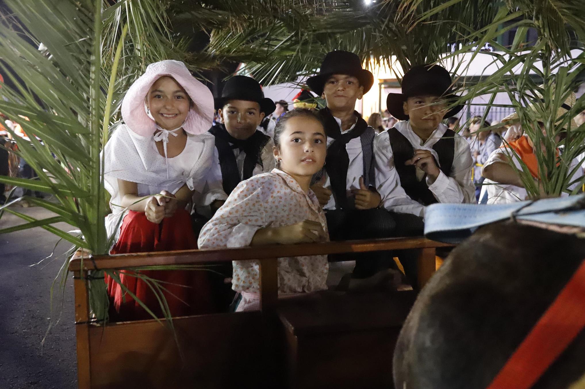 Romeria Ofrenda de Los Dolores  (94)