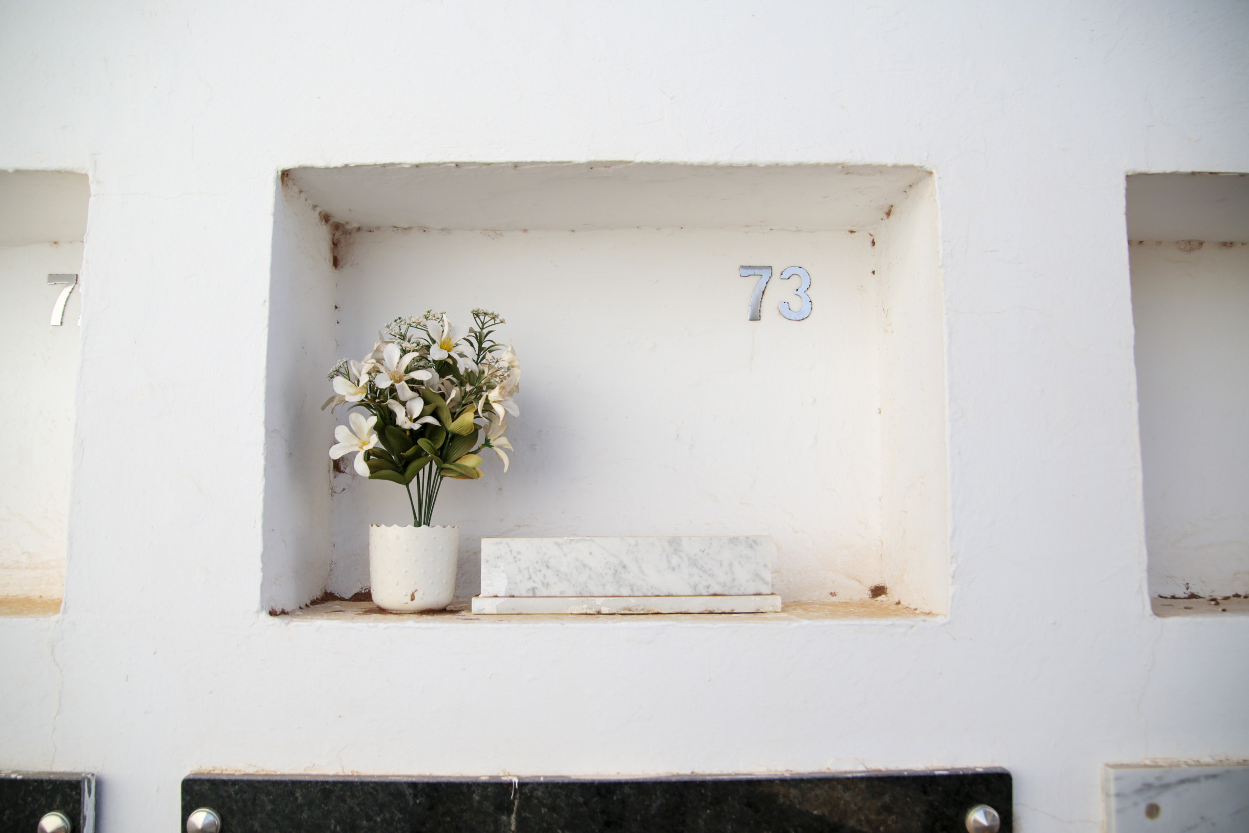 Momento de la exhumación de cinco cadáveres en el Cementerio de San Román. Fotos: Juan Mateos.