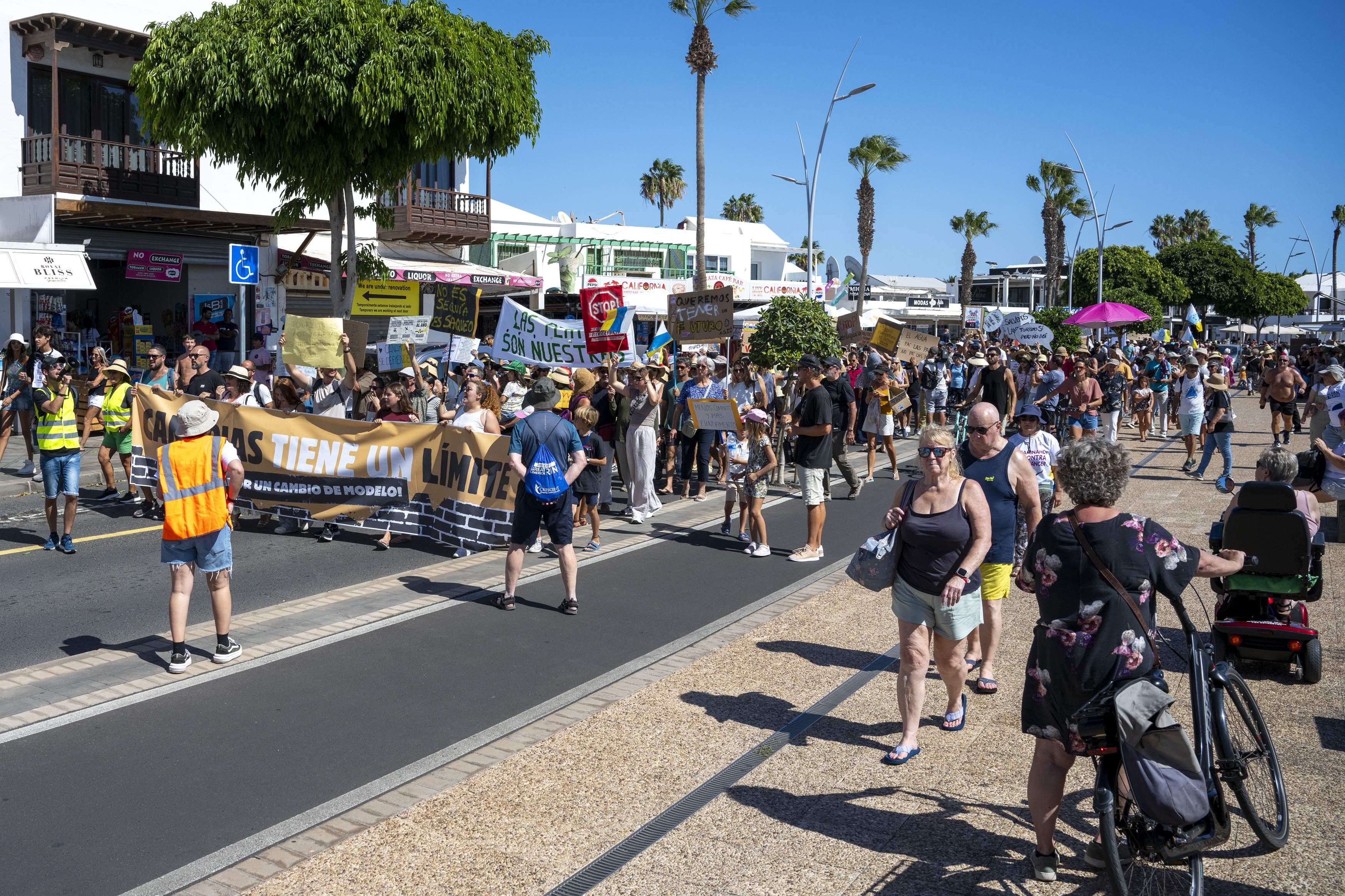 Manifestación del 20O (Fotos: La Voz)