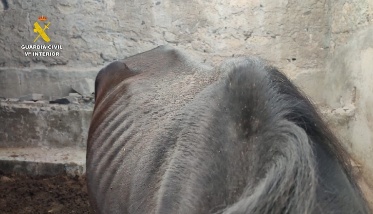 WhatsApp Image 2024 11 01 at 08.49.05 WhatsApp Image 2024 11 01 at 08.49.05