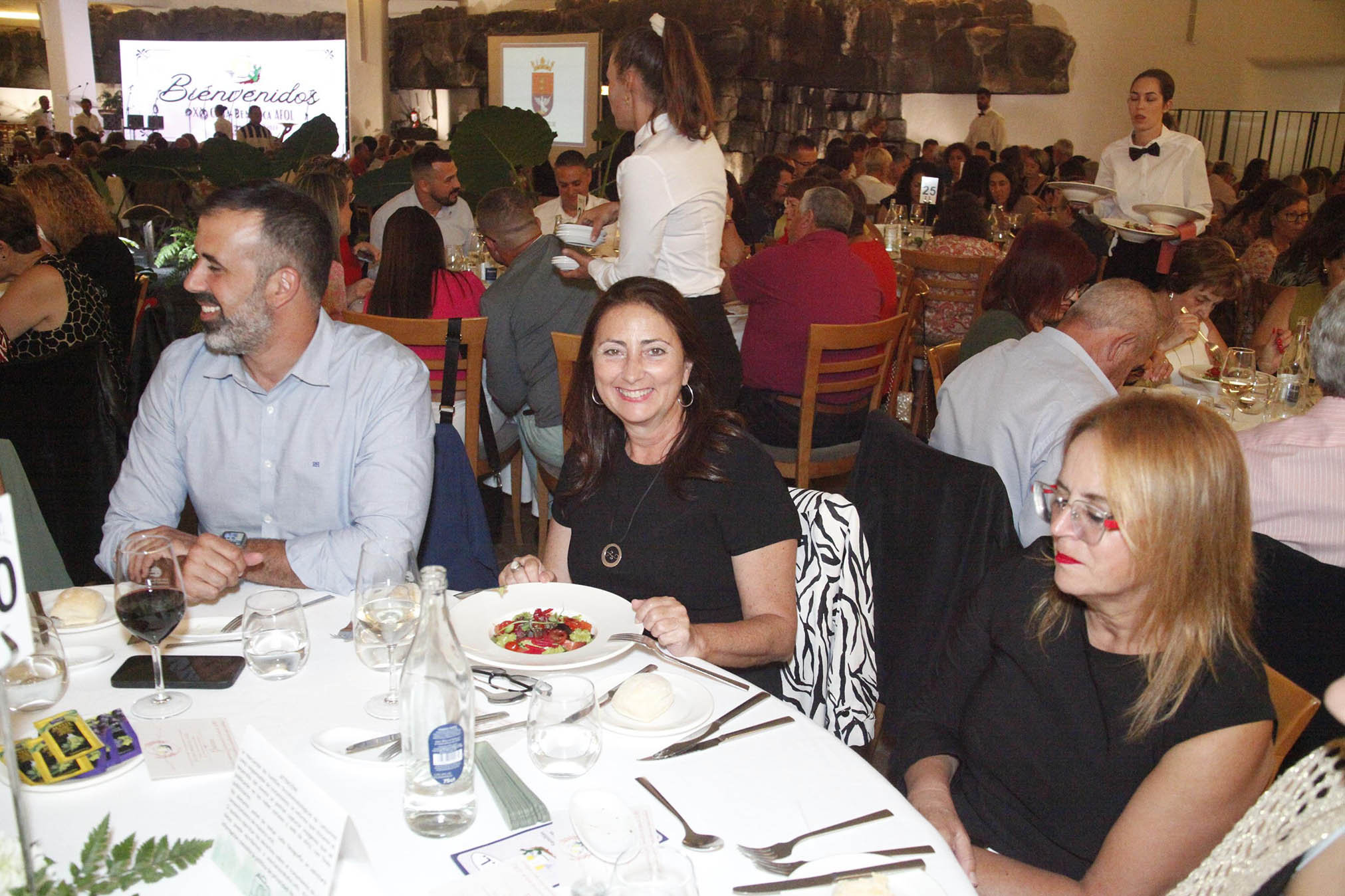 Cena de AFOL