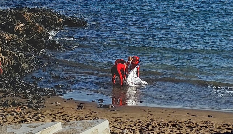 Efectivos de emergencias recogiendo una vaca muerta en Arrieta Efectivos de emergencias recogiendo una vaca muerta en Arrieta
