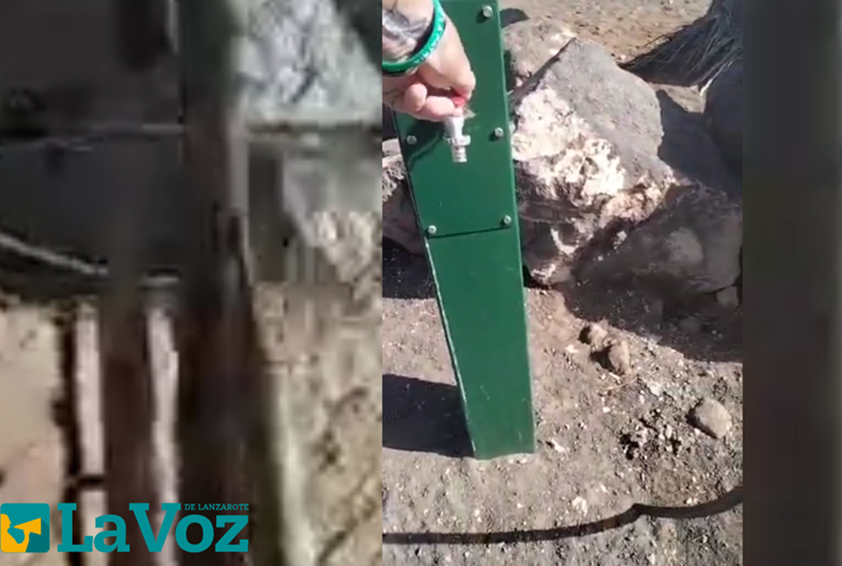 Una de las deficiencias del parque para perros es la falta de agua. Foto: La Voz