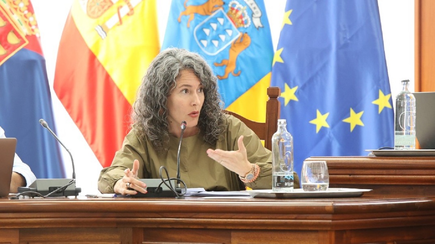Ariagona González, portavoz del PSOE, en un pleno del Cabildo de Lanzarote