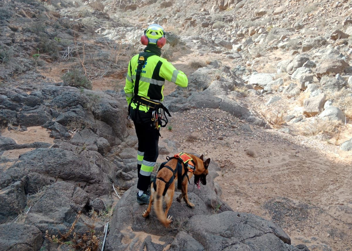 Binomio canino de Emerlan