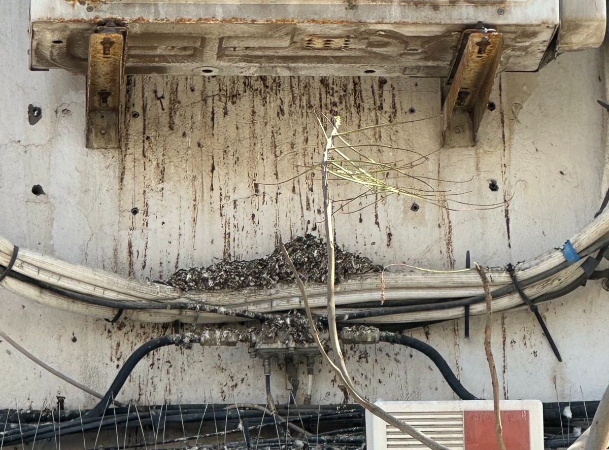 Heces de las palomas en el aire acondicionado de uno de los edificios de Arrecife