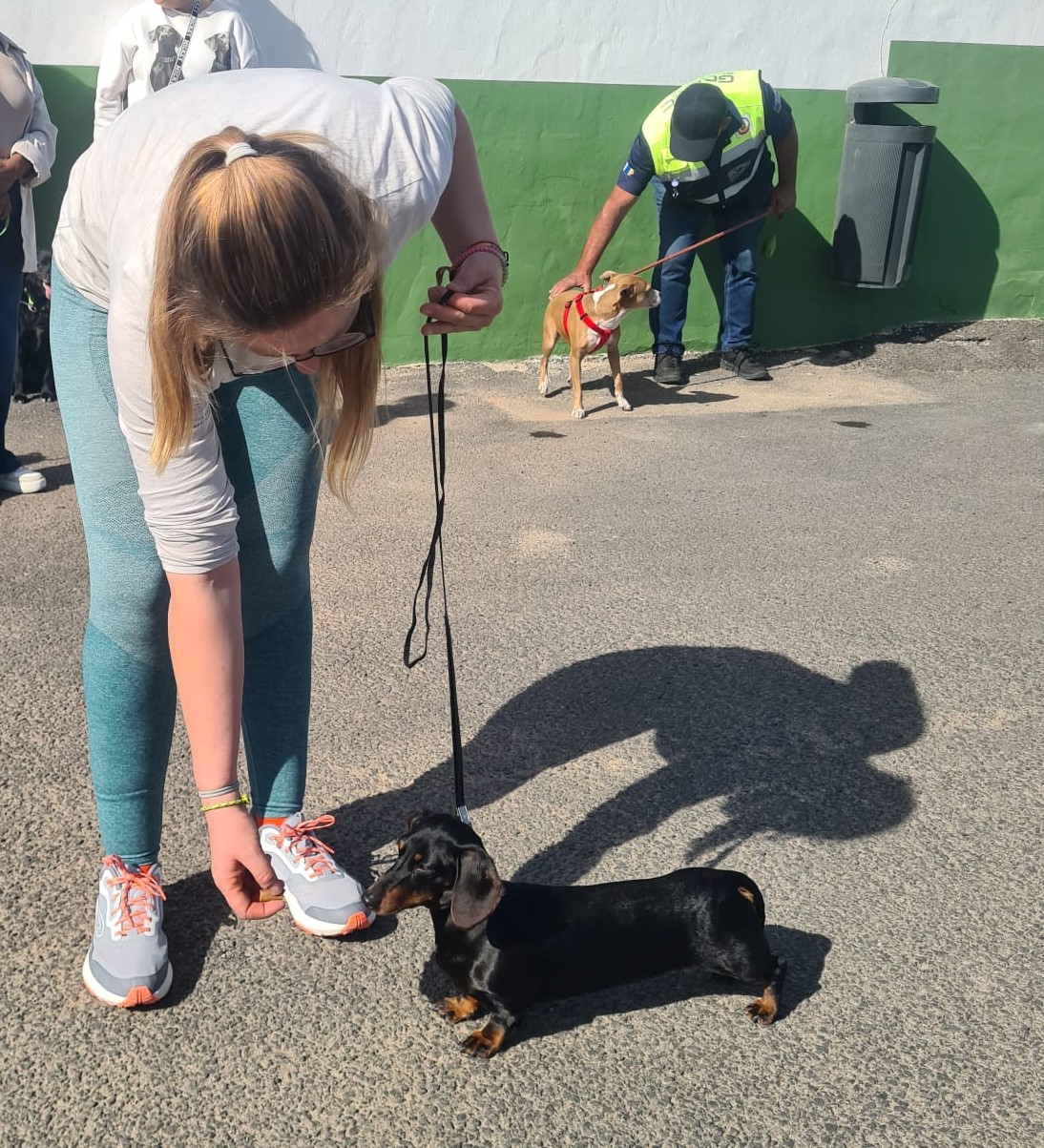 Seminario de bienestar canino