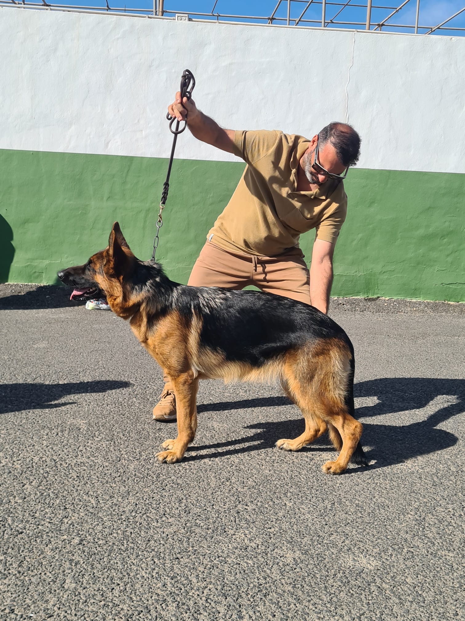 Seminario de bienestar canino