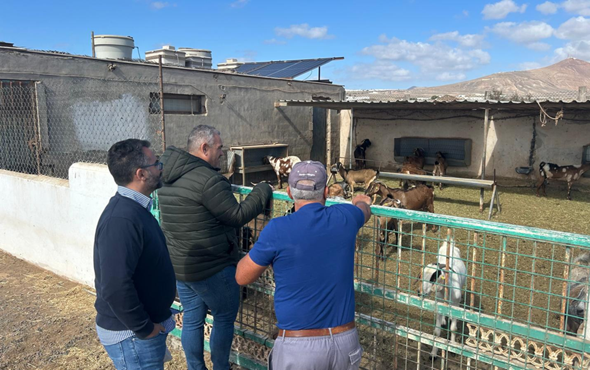 Echedey Eugenio y Jacobo Lemes en una visita a unas instalaciones ganaderas en Arrecife